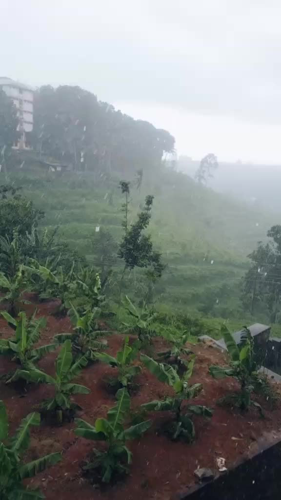 @ഹതഭാഗ്യൻ