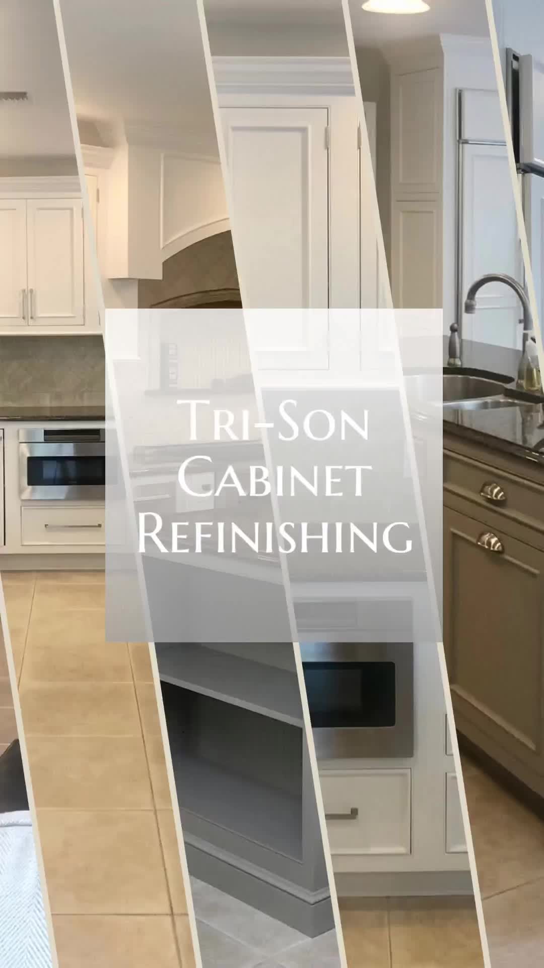 @trisonpaintingplus