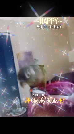 @Princess Kittyn Brat