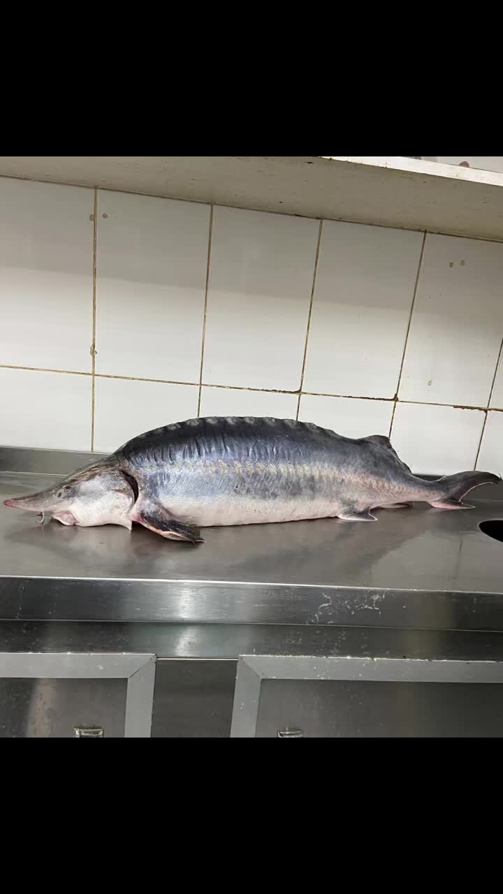 @BALIQLAR ALƏMI ƏHMƏDLI