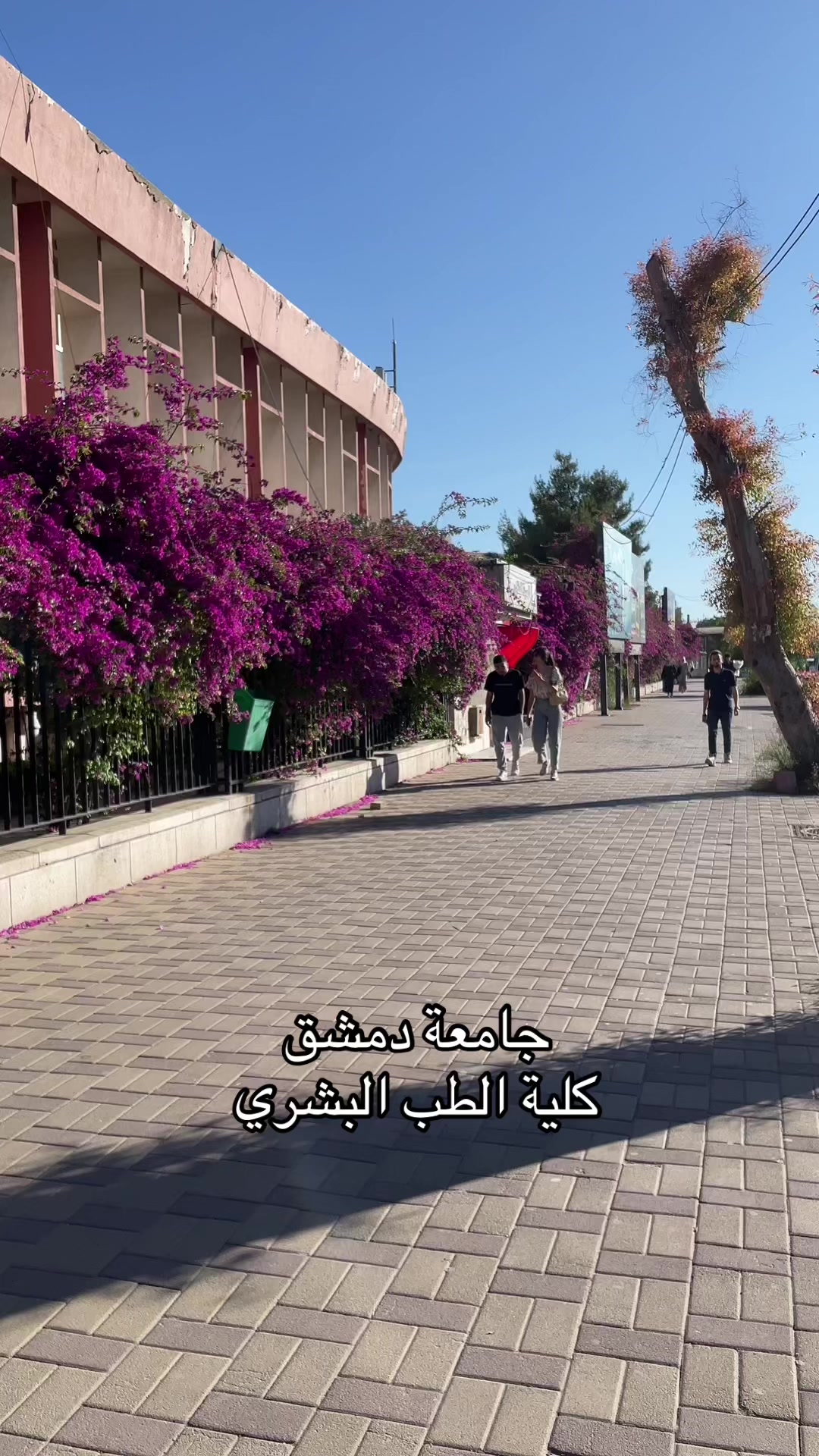 @Rahaf Lazek