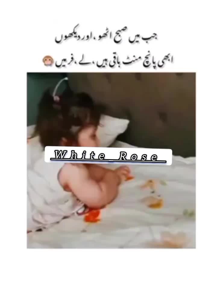 @🌹⃝࿇᭙ꫝ𝓲𝓽ꫀ_𝘳ꪮ𝘴ꫀ࿇⃝🌹