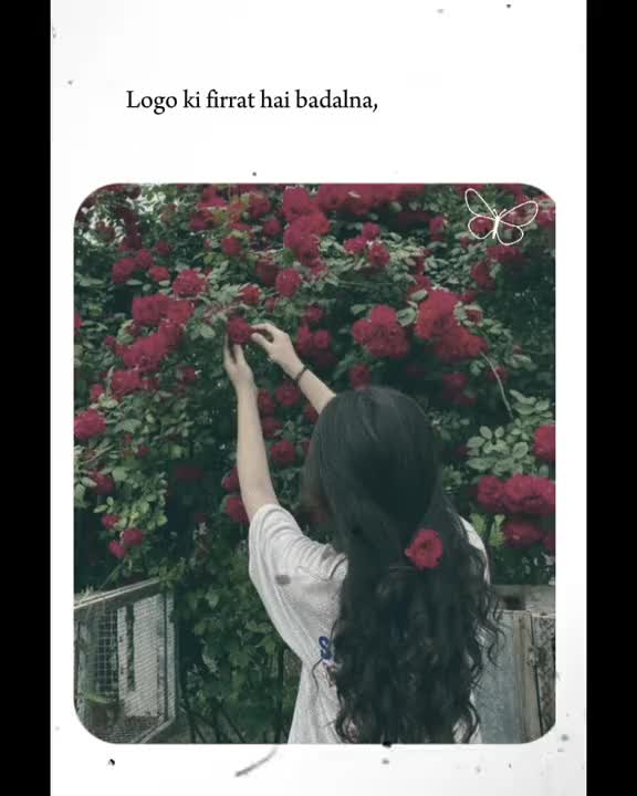 @✓••🖤••بلوچ••🖤••✓