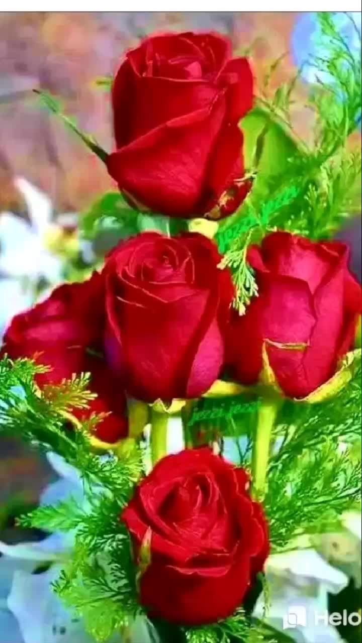 @Lovely Queen
