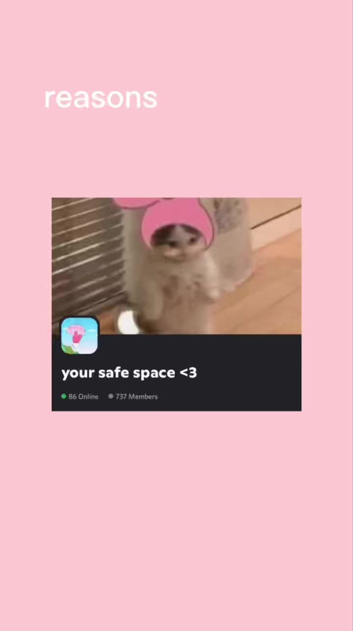 @🐈 your safe space 🌱