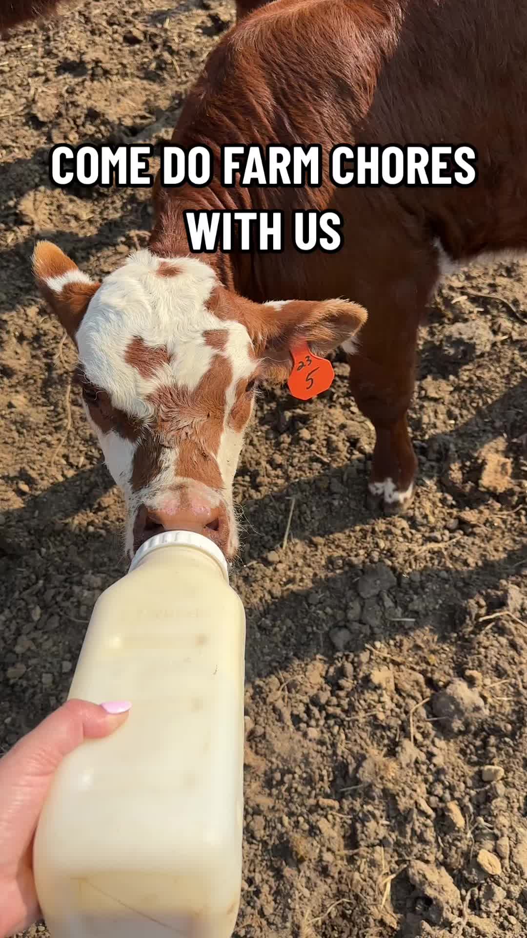@Riewest Valley Farms