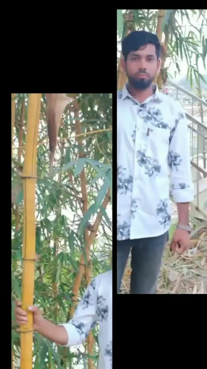 @Md Sakib