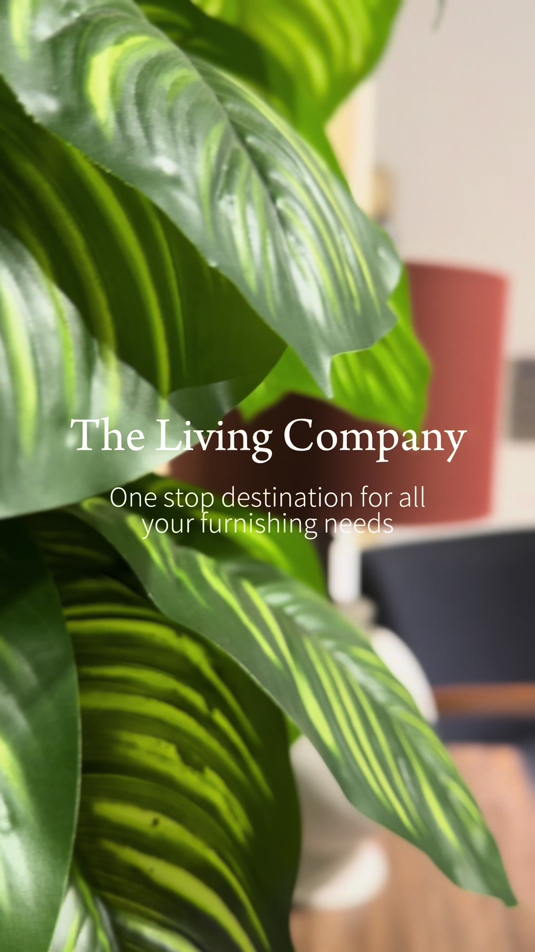 @The Living Company