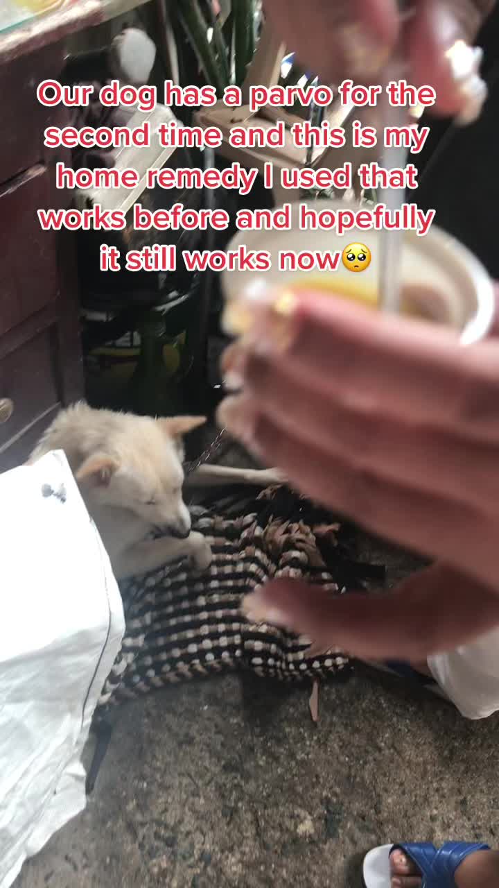 @๐
๐ฝโค๏ธ๐๐๐ฟ๐๐ธ๐ถ๐๐๐ฐ๐ ๐