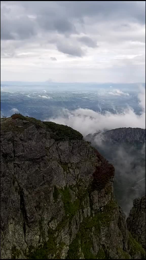 @Eglė