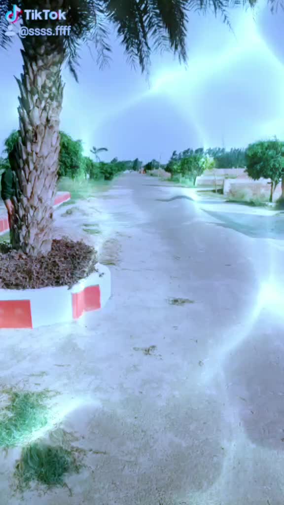 @shah faisal