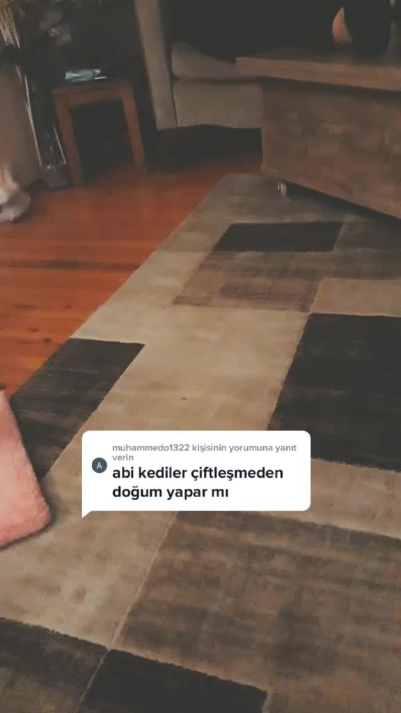 @korayçNk