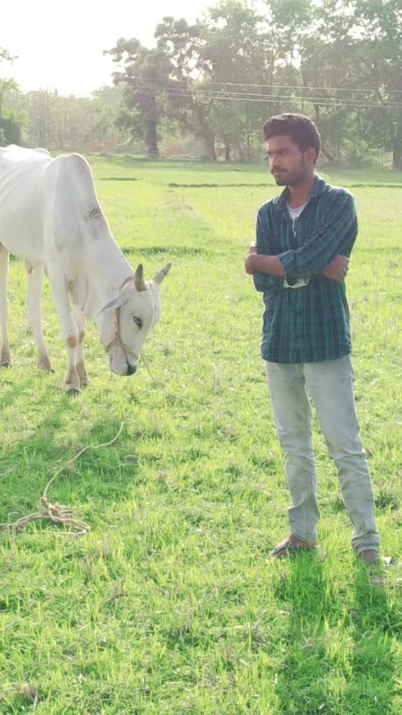 @Singarapu Saikumar