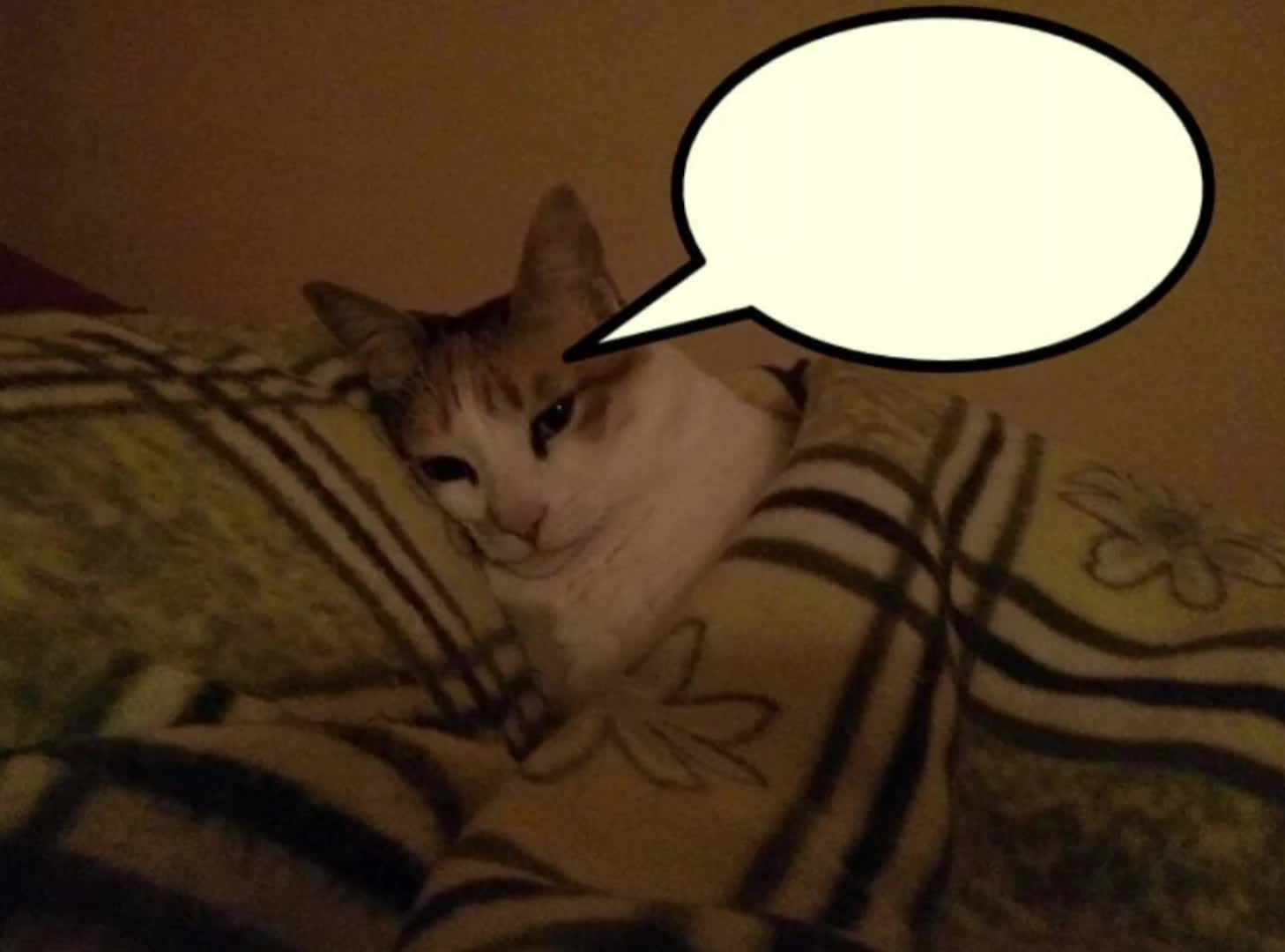 @★