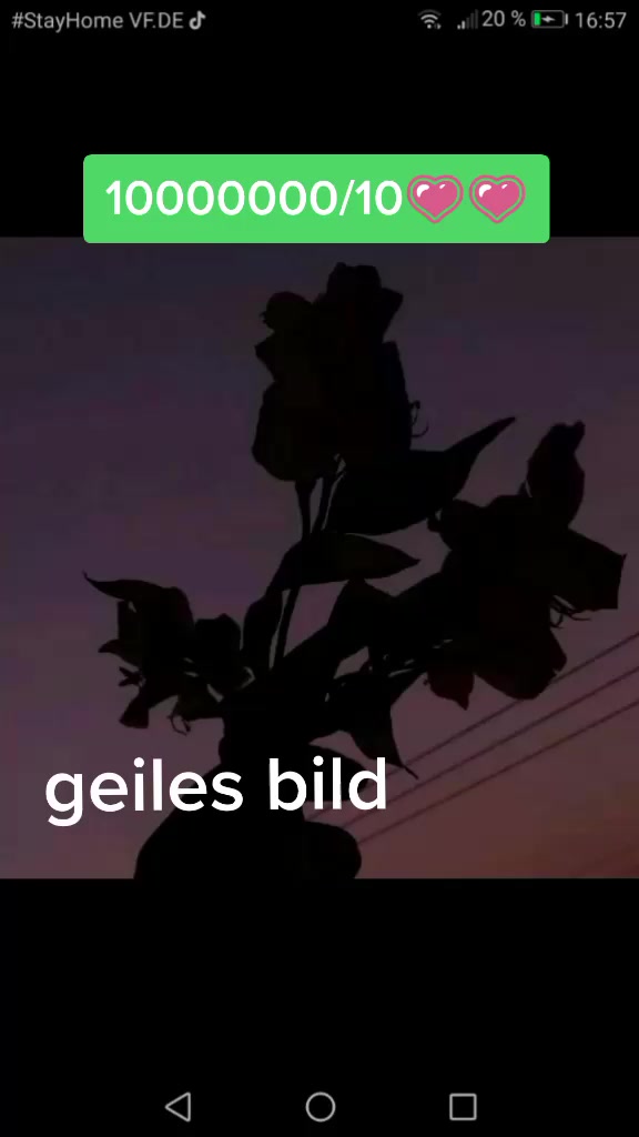 @selmir_428