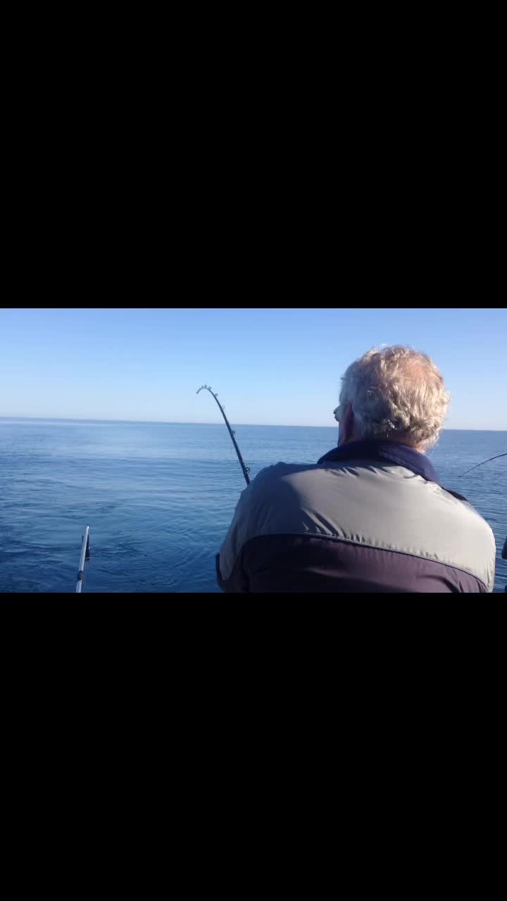 @sportytoofishingcharters