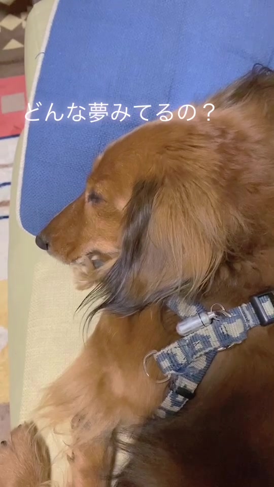@平尾もとな