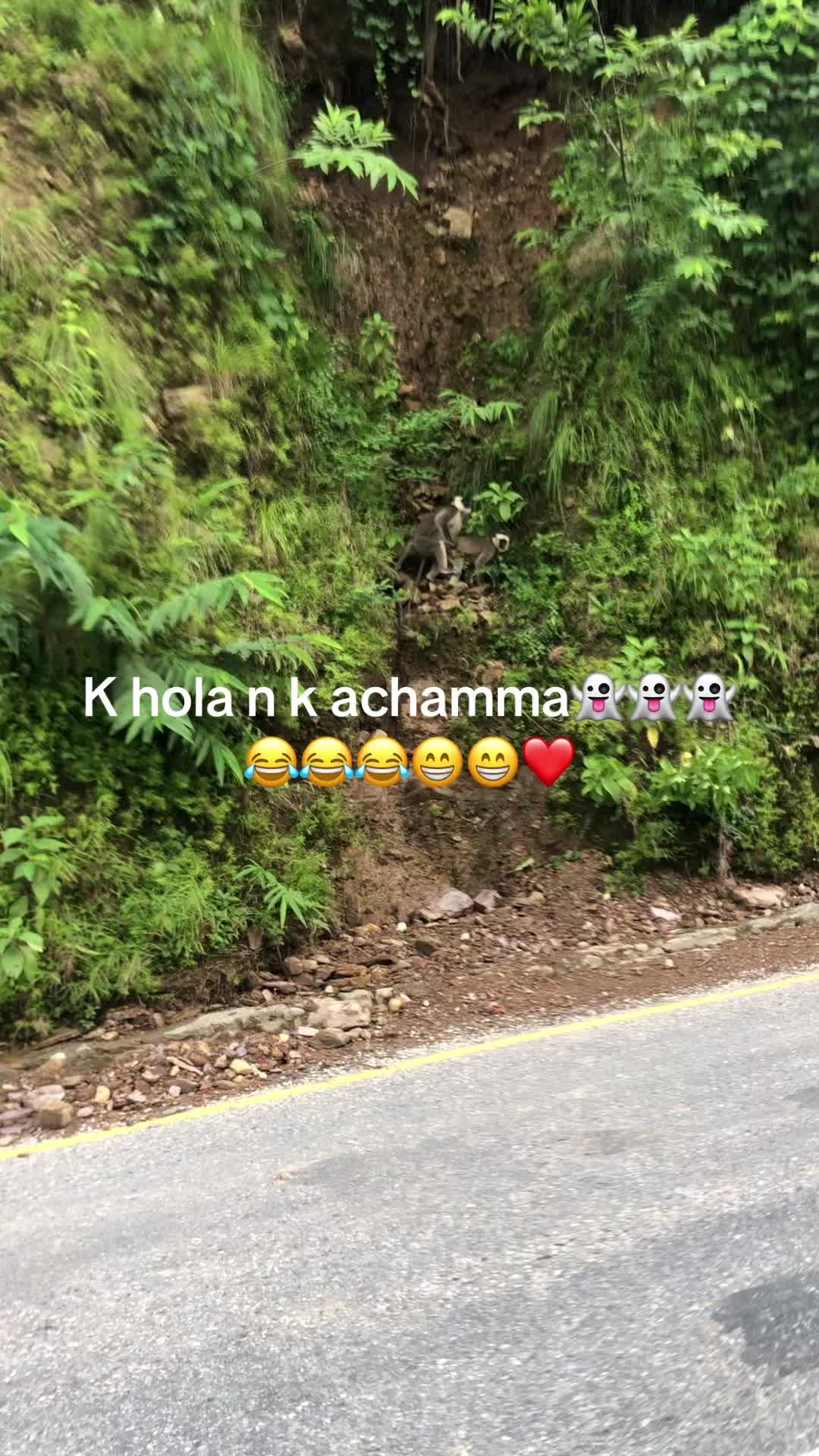 @dilnamjali2