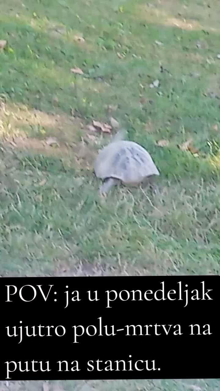 @🪐