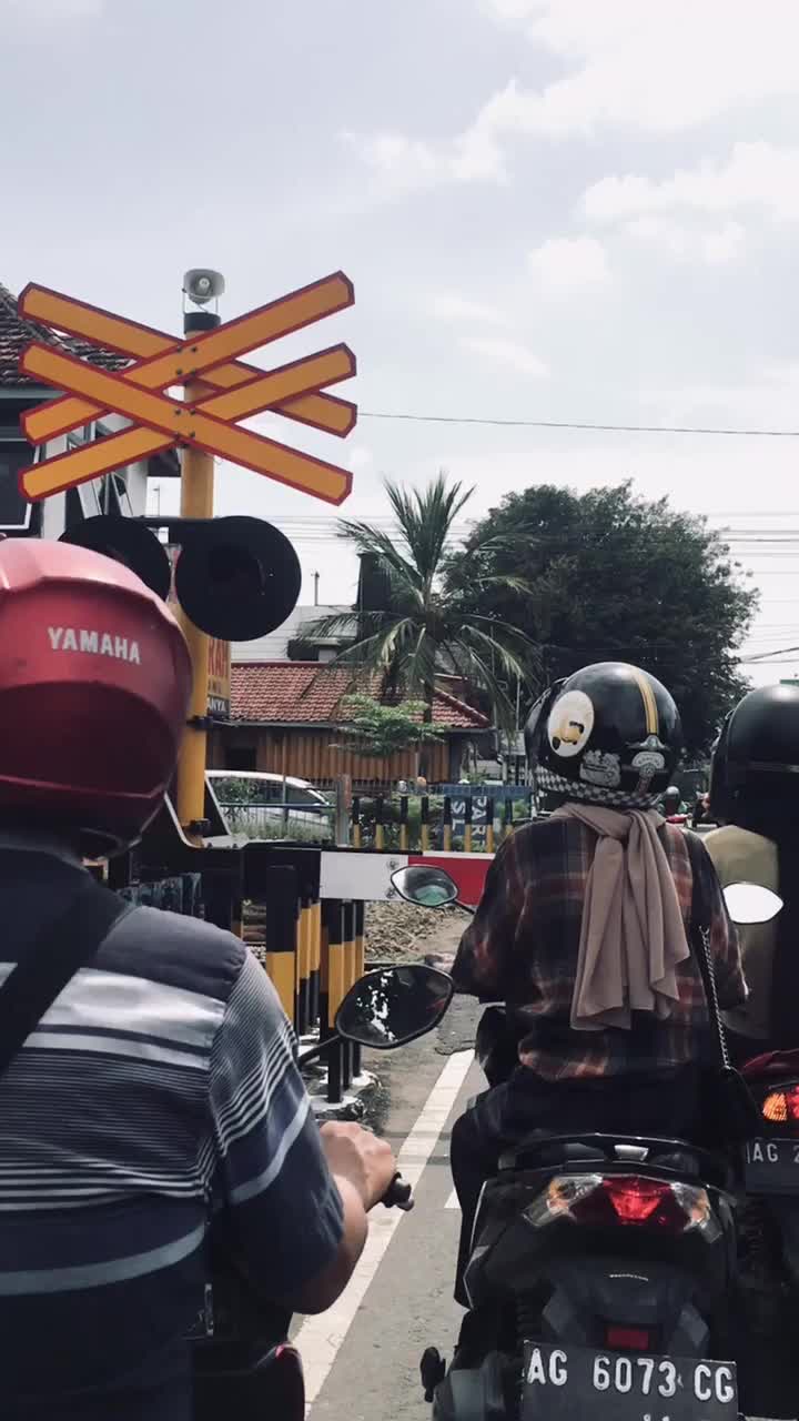 @pinaardianti