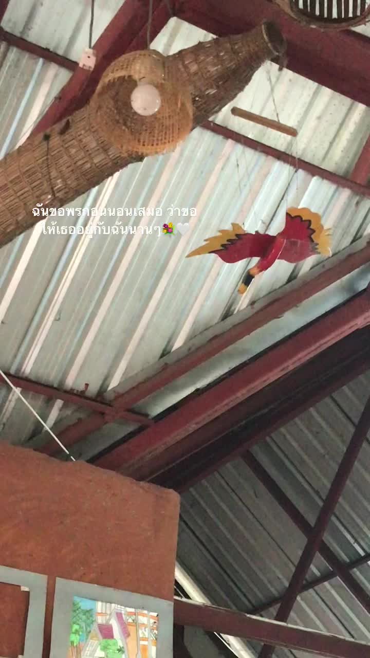 @🌟🤍