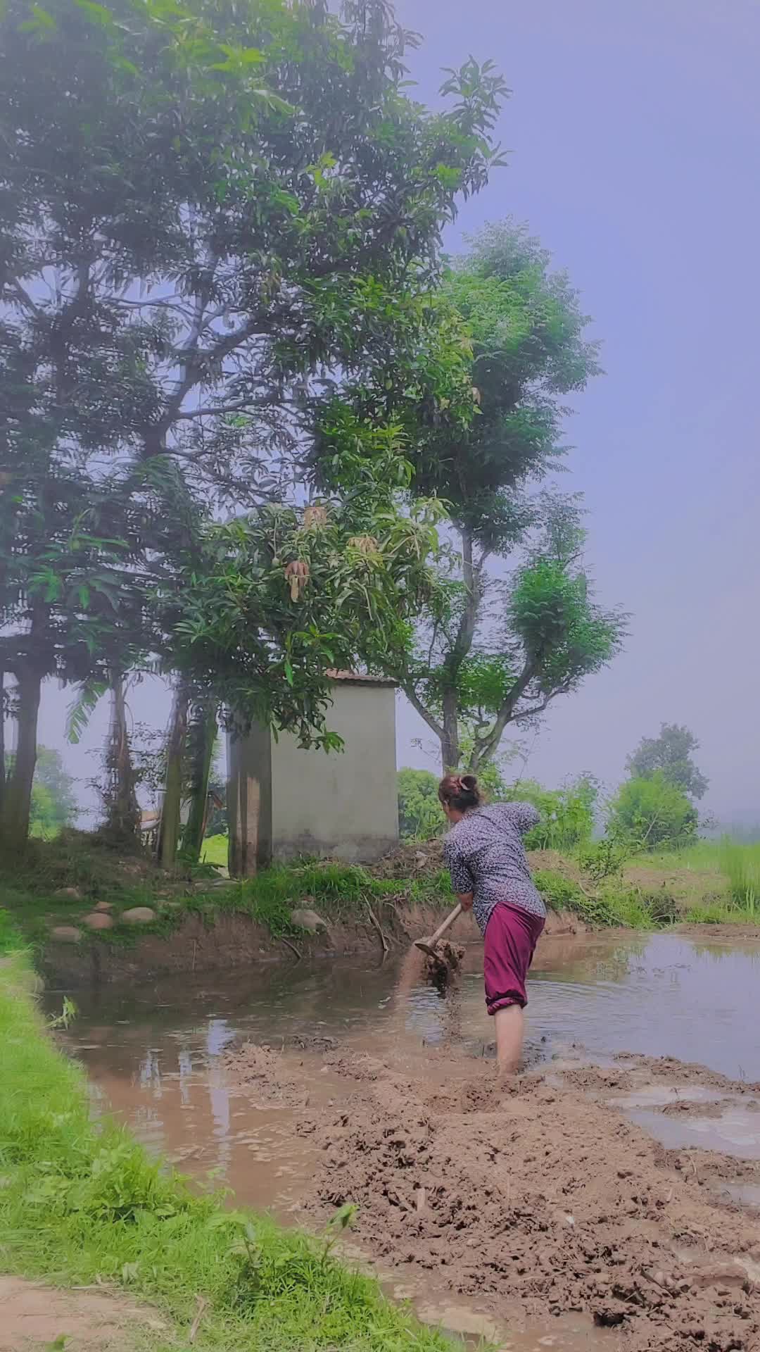 @Shirish Pathak