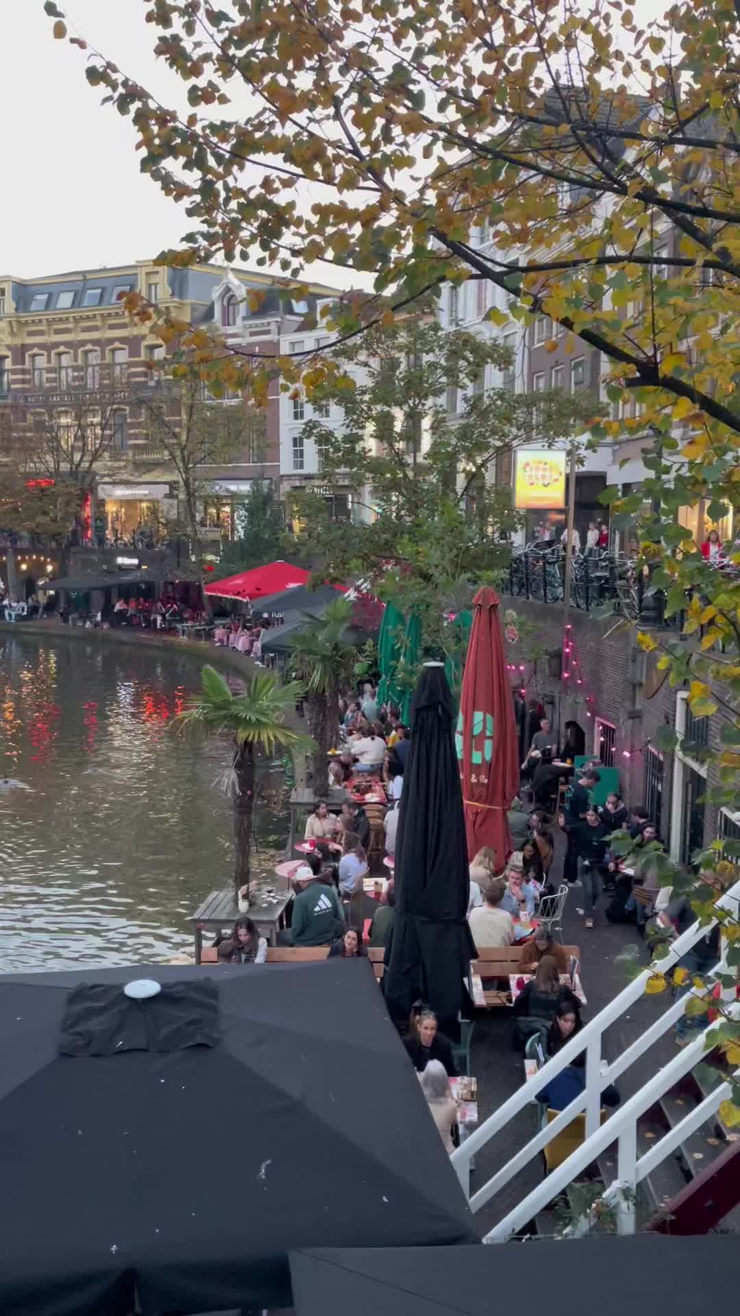 @Ala Ali