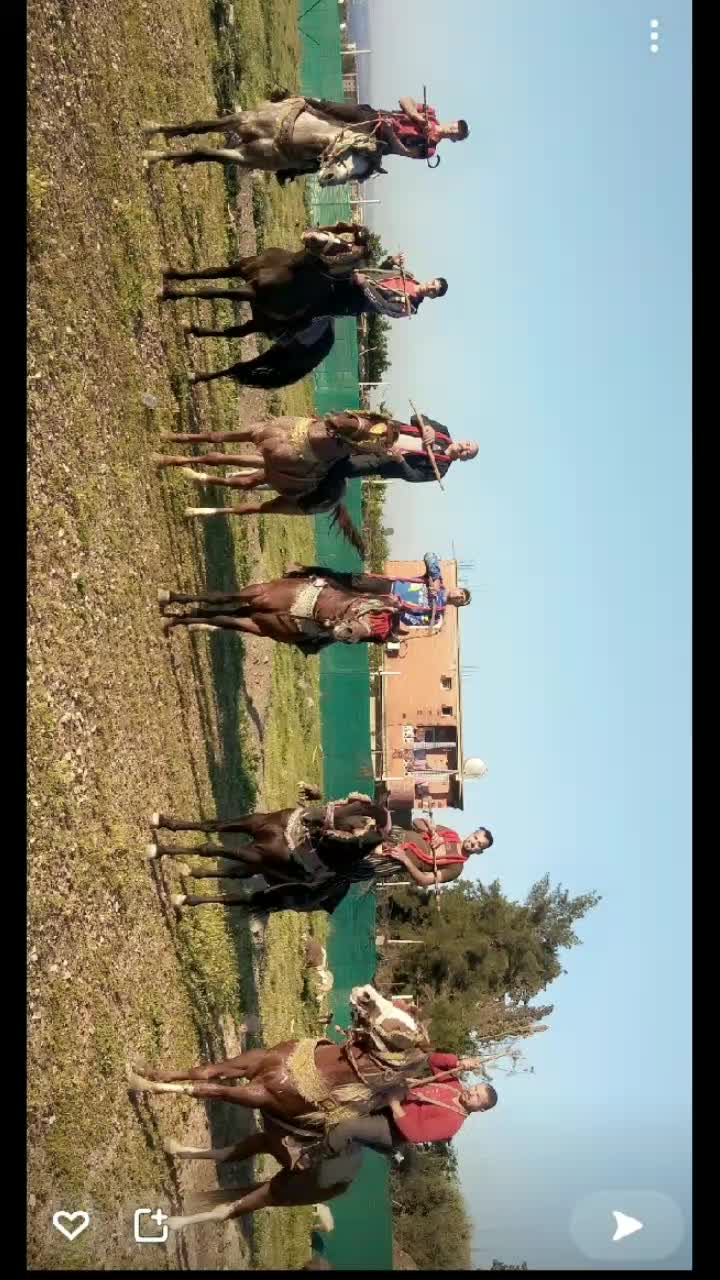 @0792429900