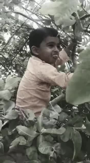 @sudhakarkva