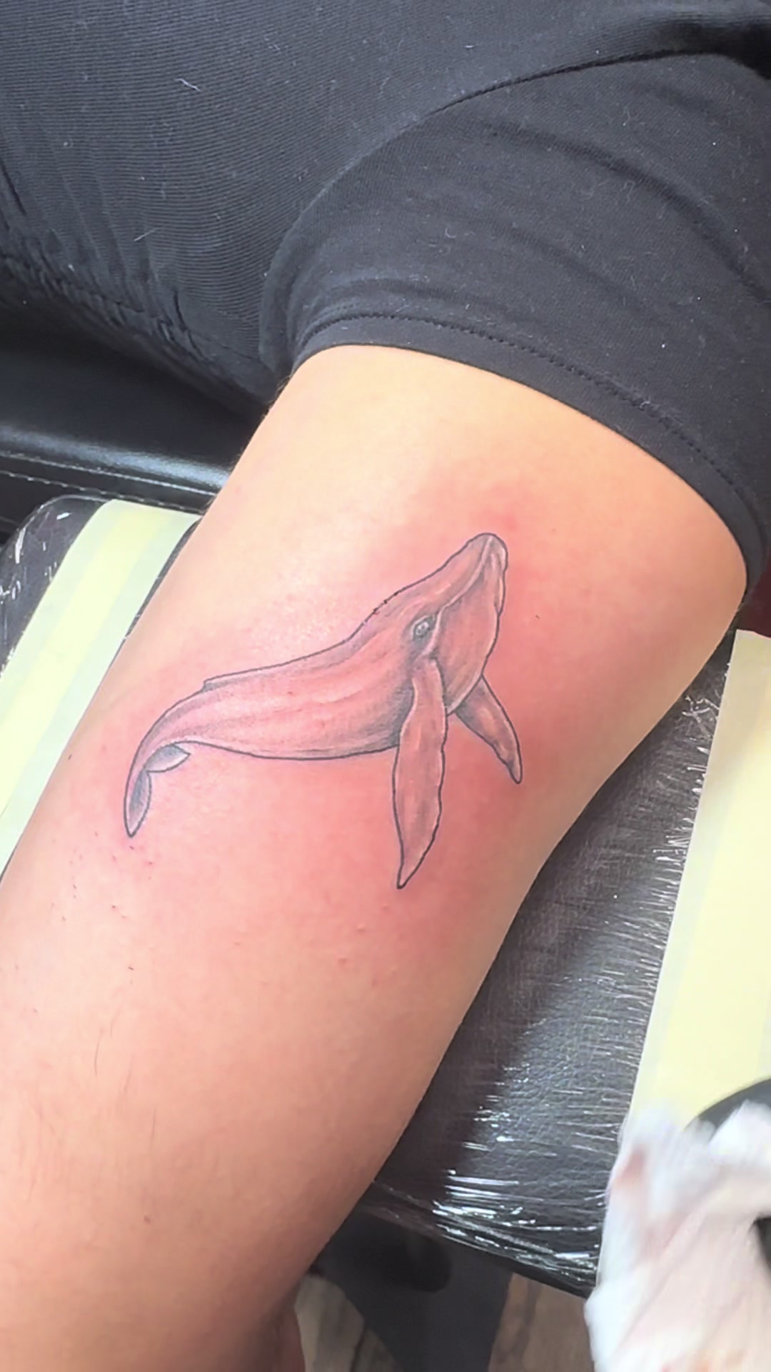 @JCalcanes.tattoo