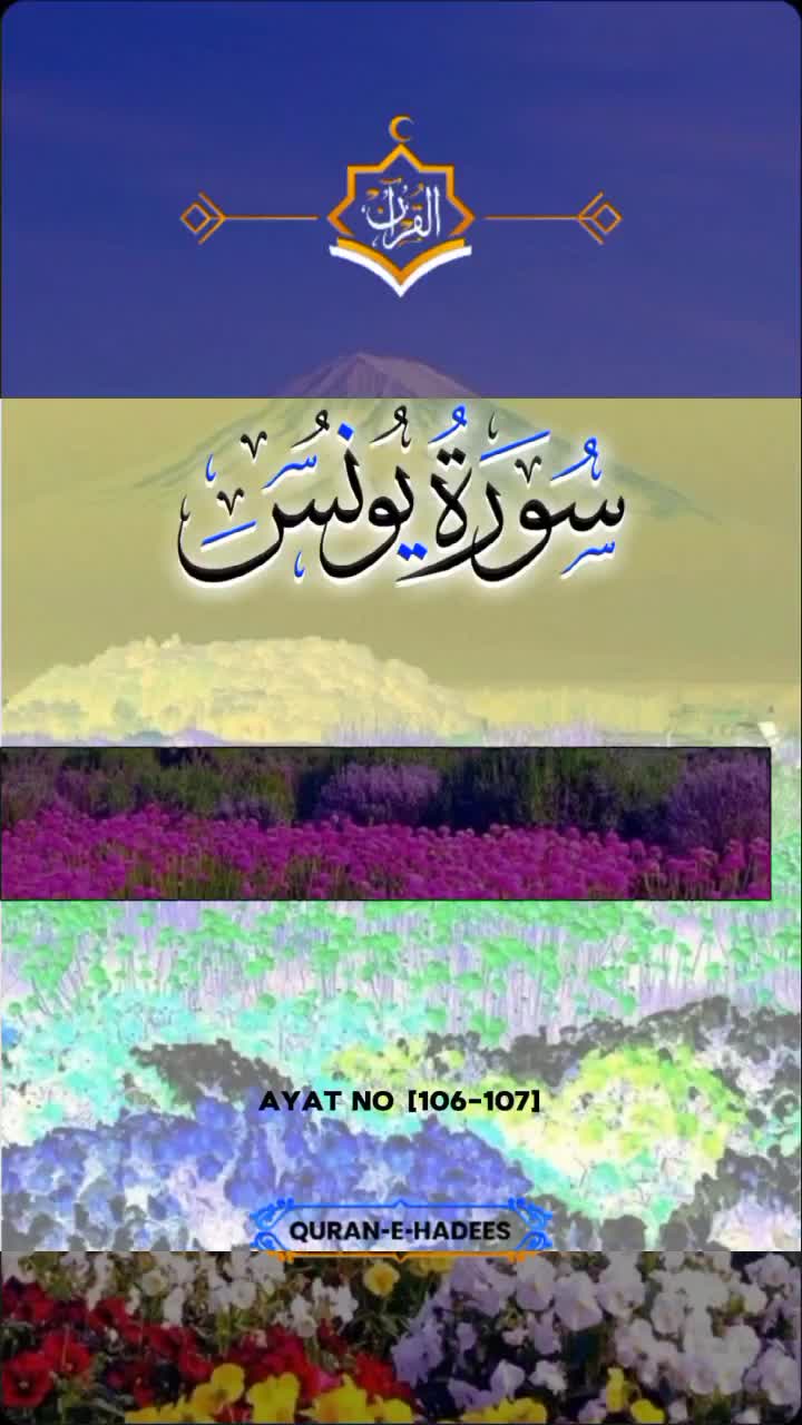 @zulfiqar Ali