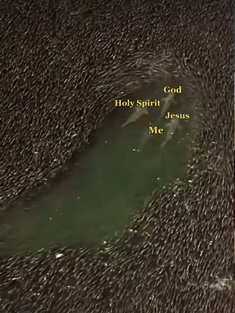 @ye.sznn