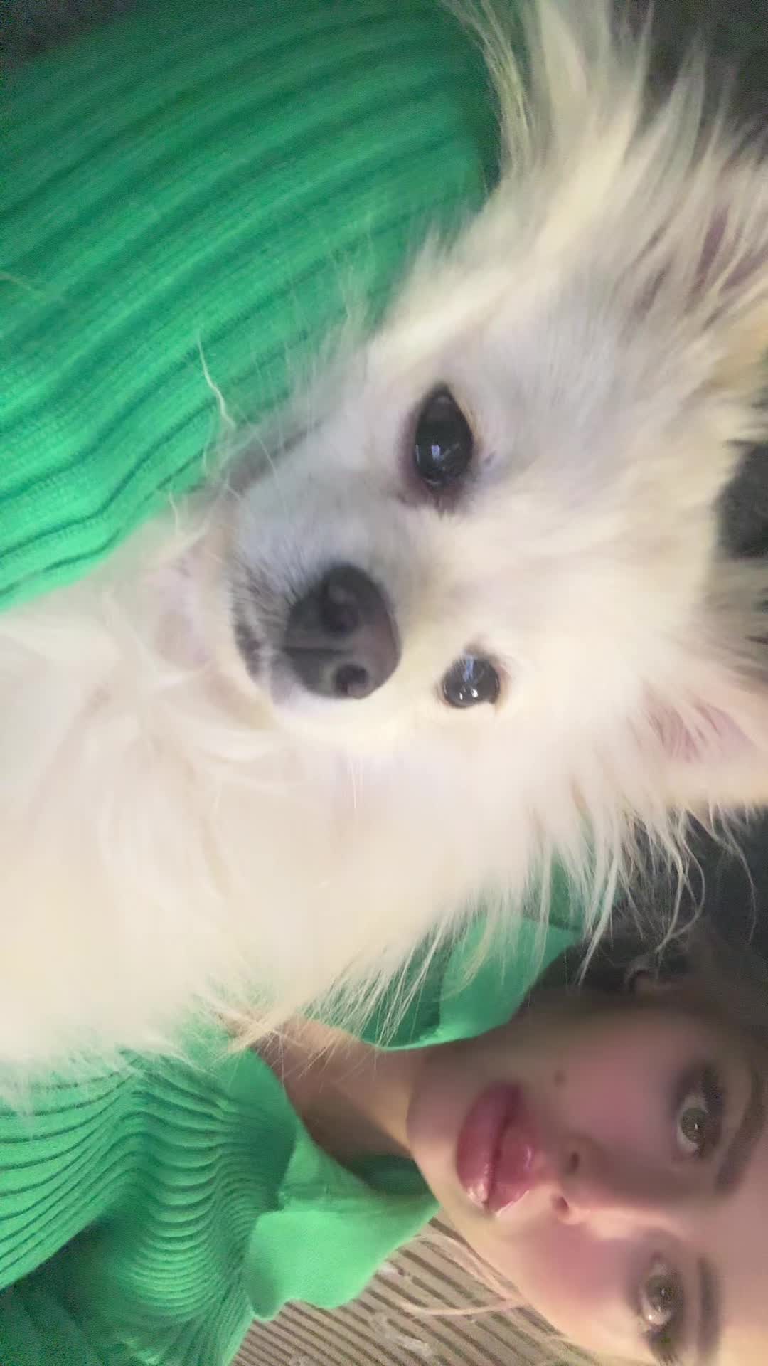 @Вікторія Прошена 💕