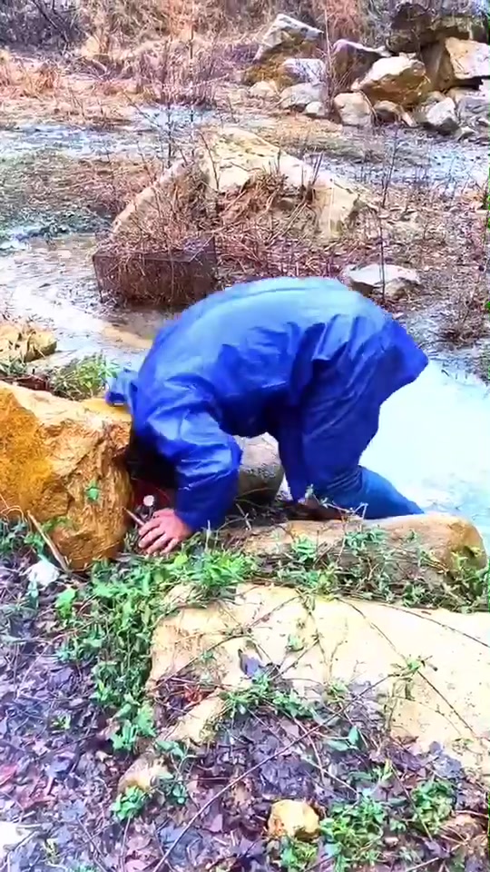 @user9778102720724
