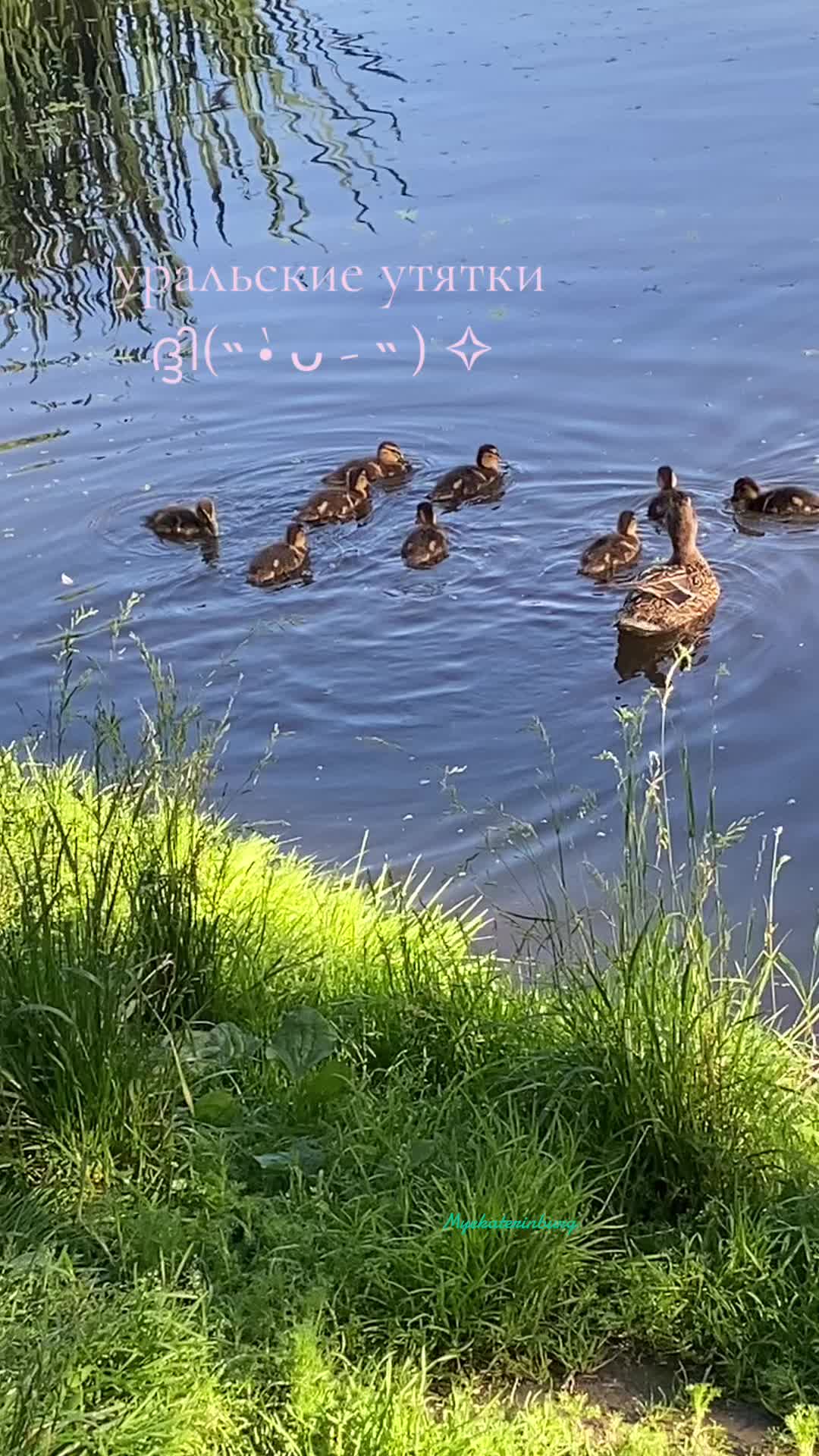 @Город Екатеринбург 💒😼
