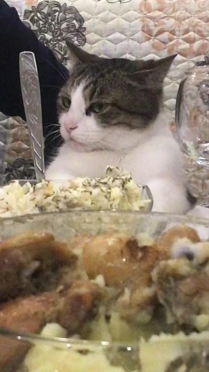 @Артём