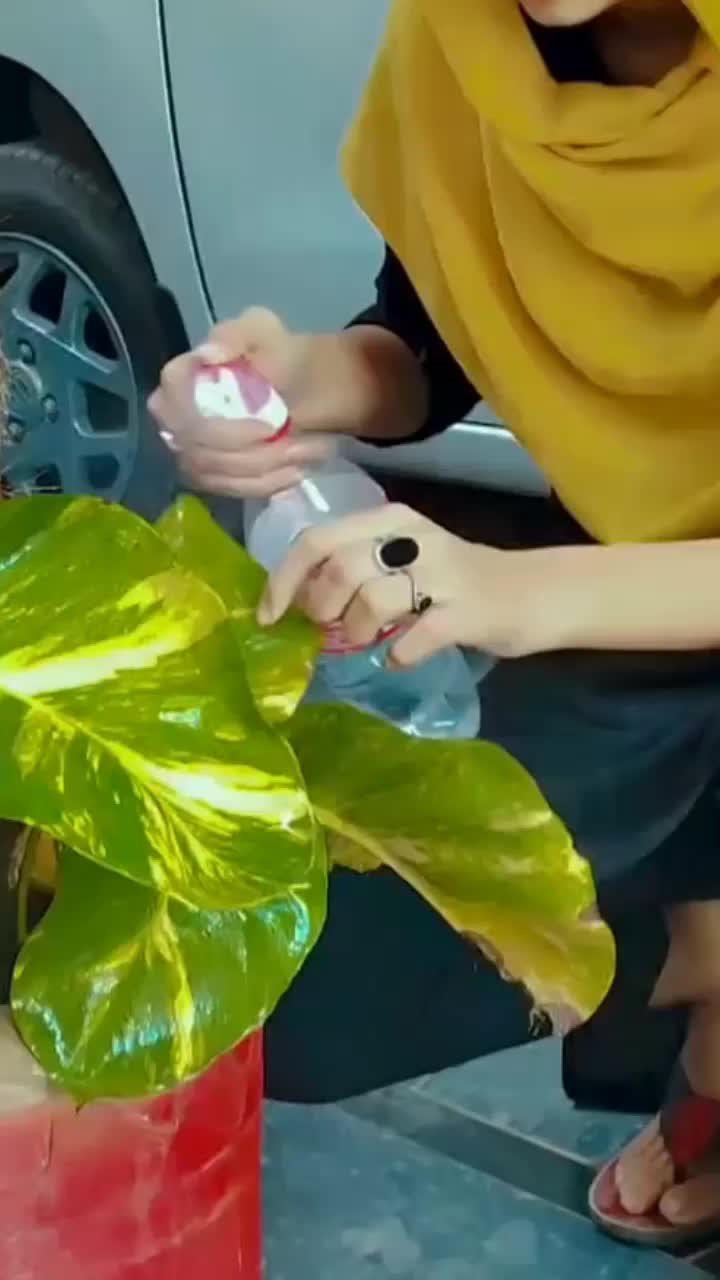 @Hadiawan89🇵🇰