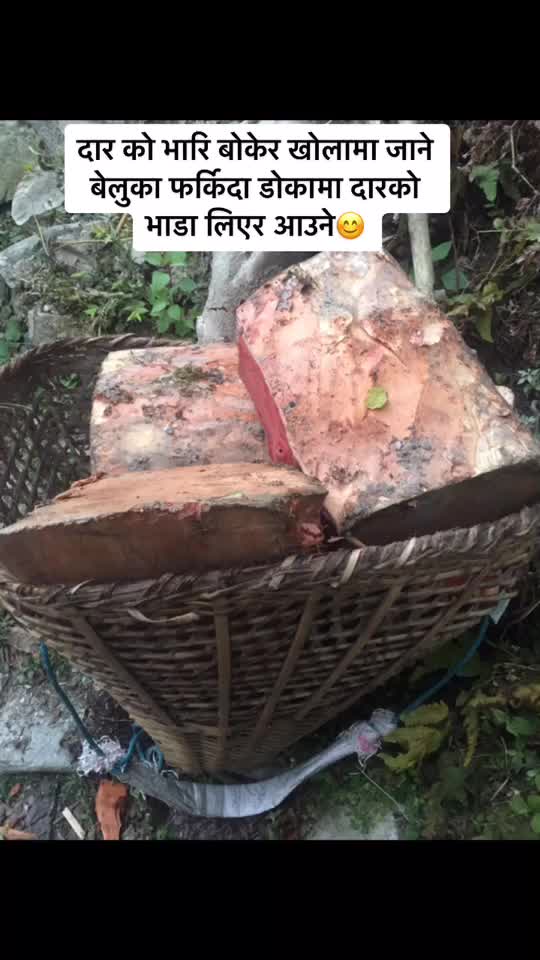 @Raju Hajipacha