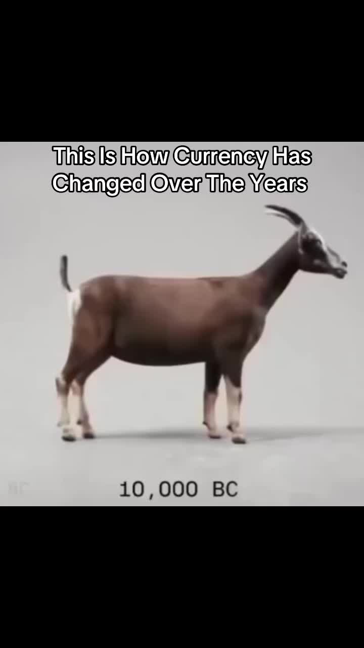 @Universe Explained