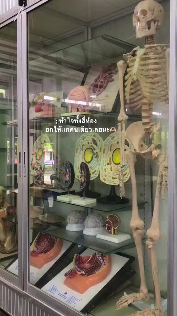 @เธรดดดด