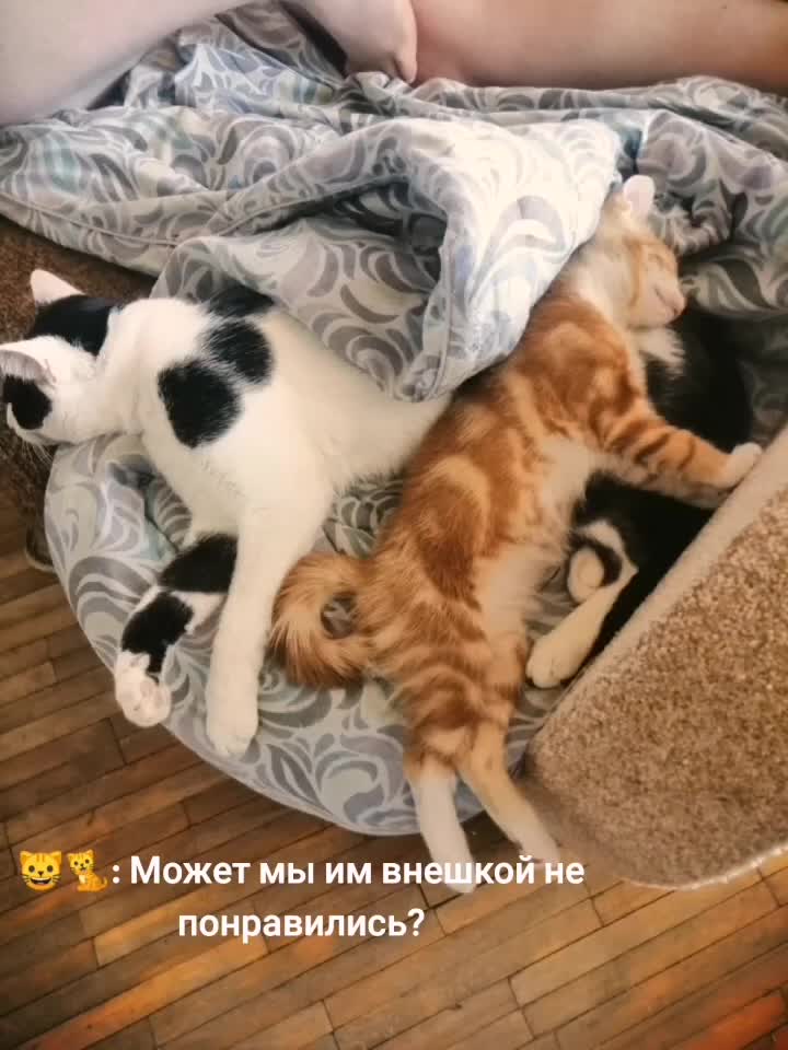 @lika. kuzminykh27
