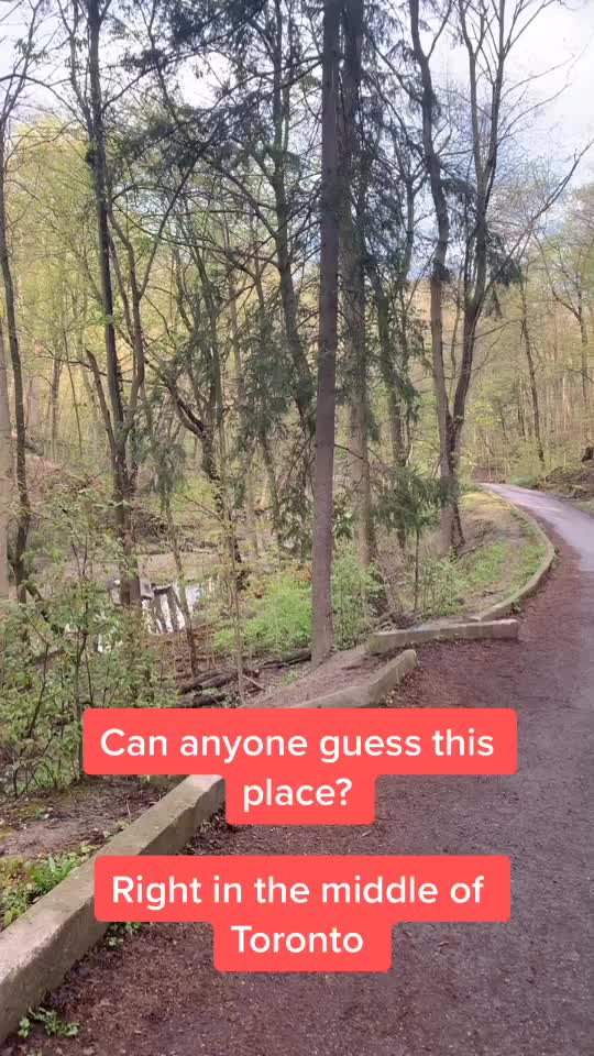 @India to Canada