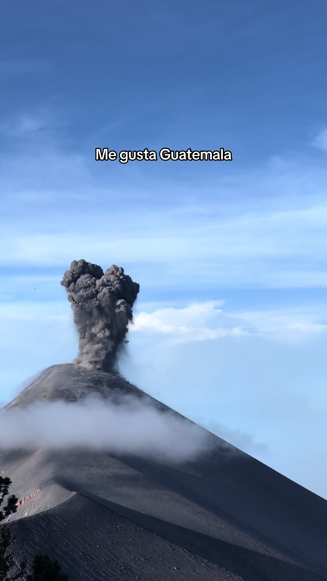 @Ash