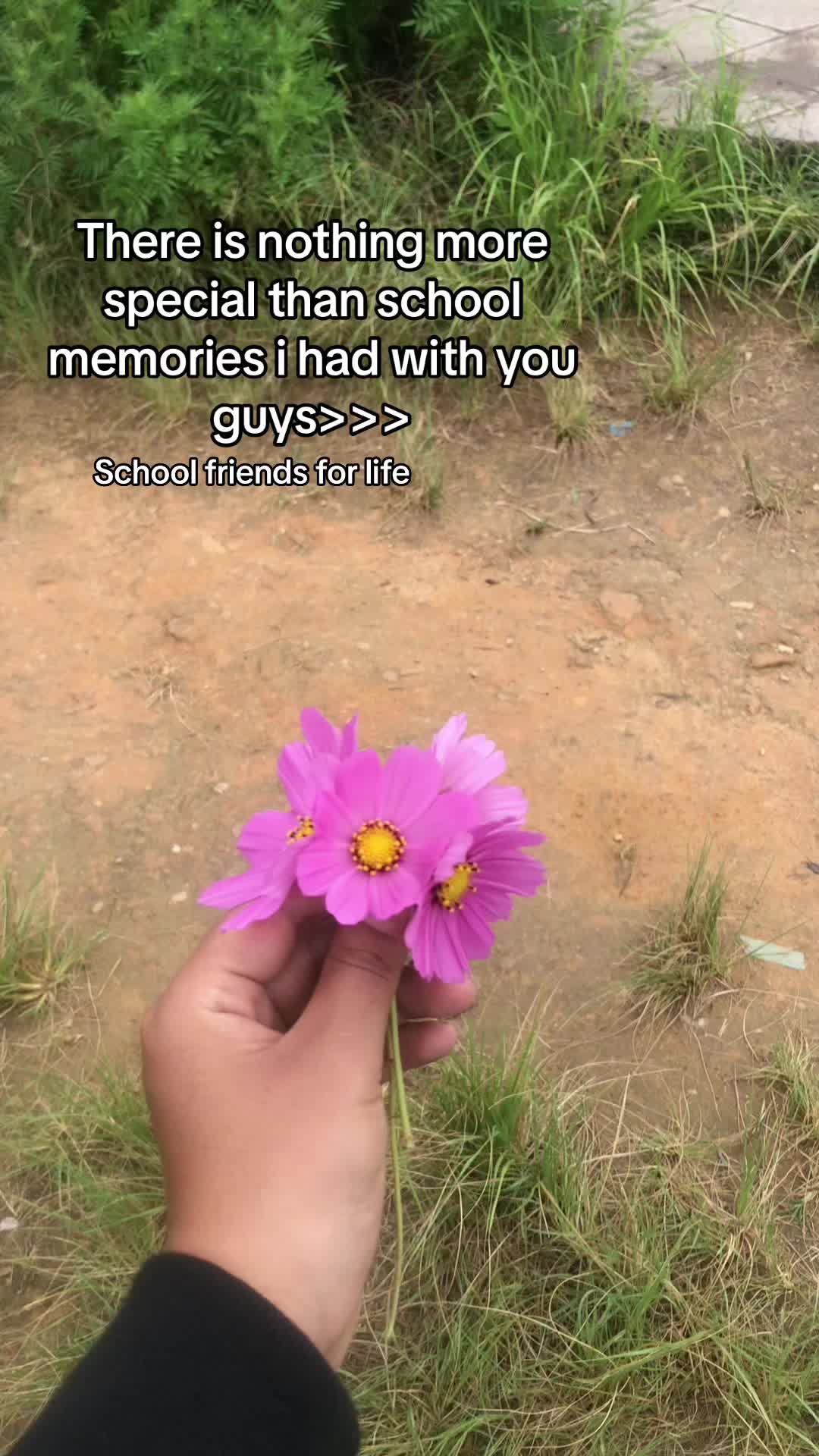 @Taurus