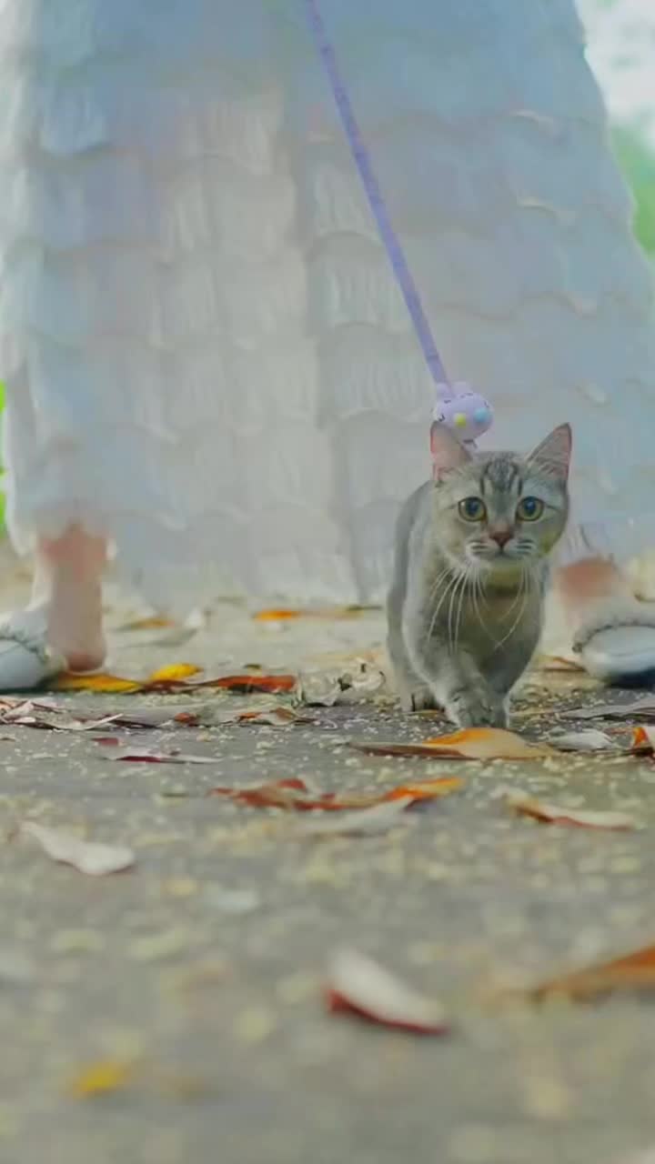 @ourpetsfriends