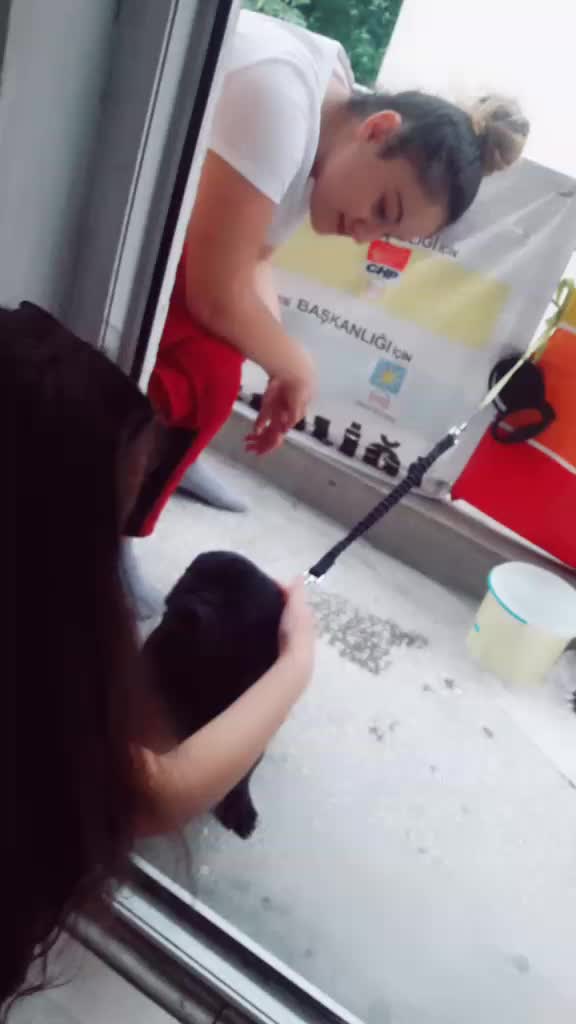 @asya_pirdali