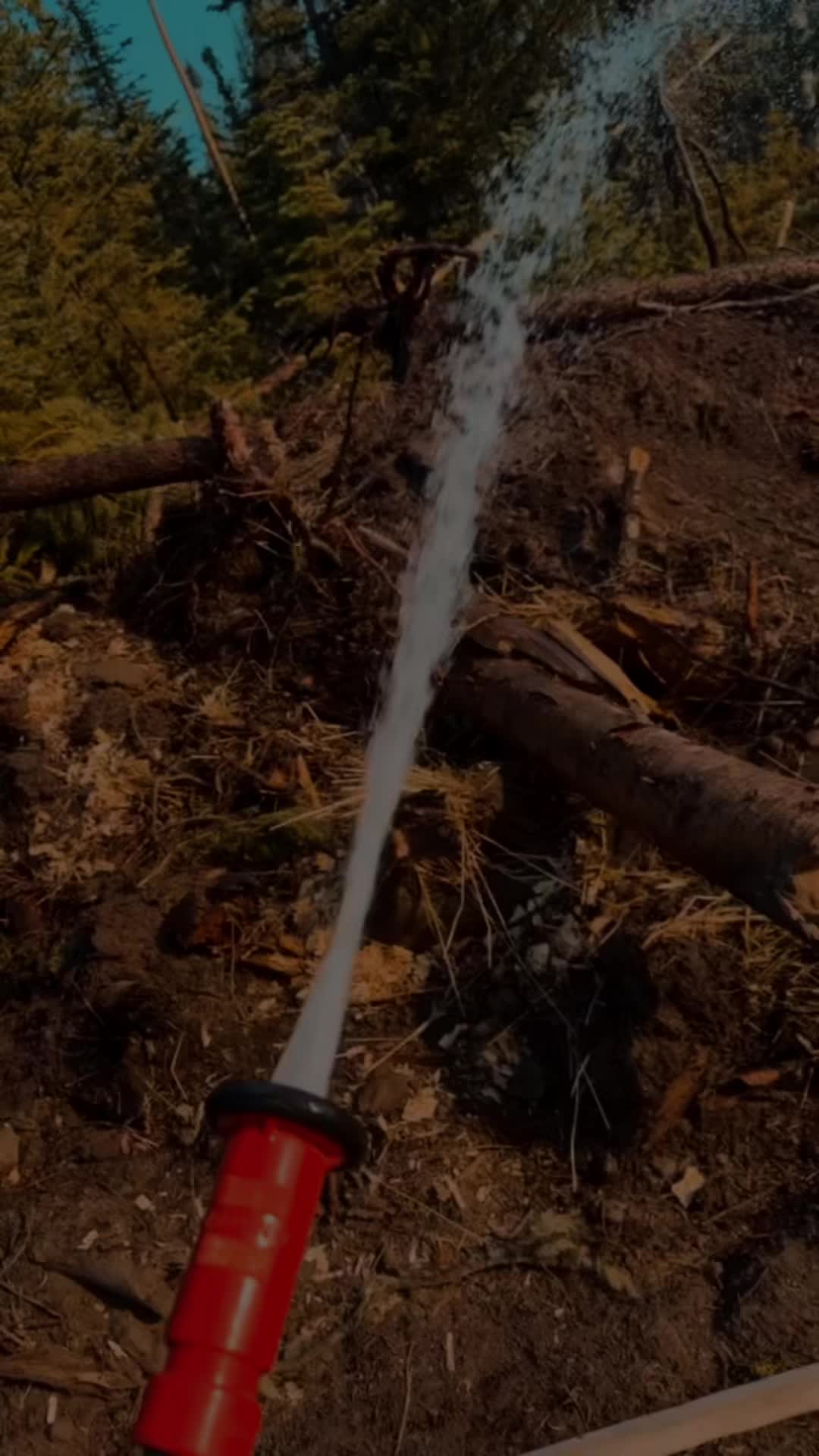 @PallasFire
