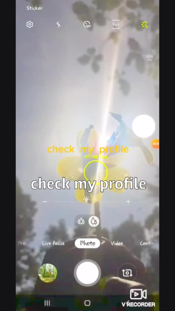 @Y A M A N