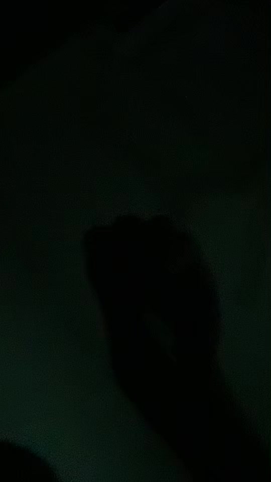 @Broken Siren / T.I.G 01