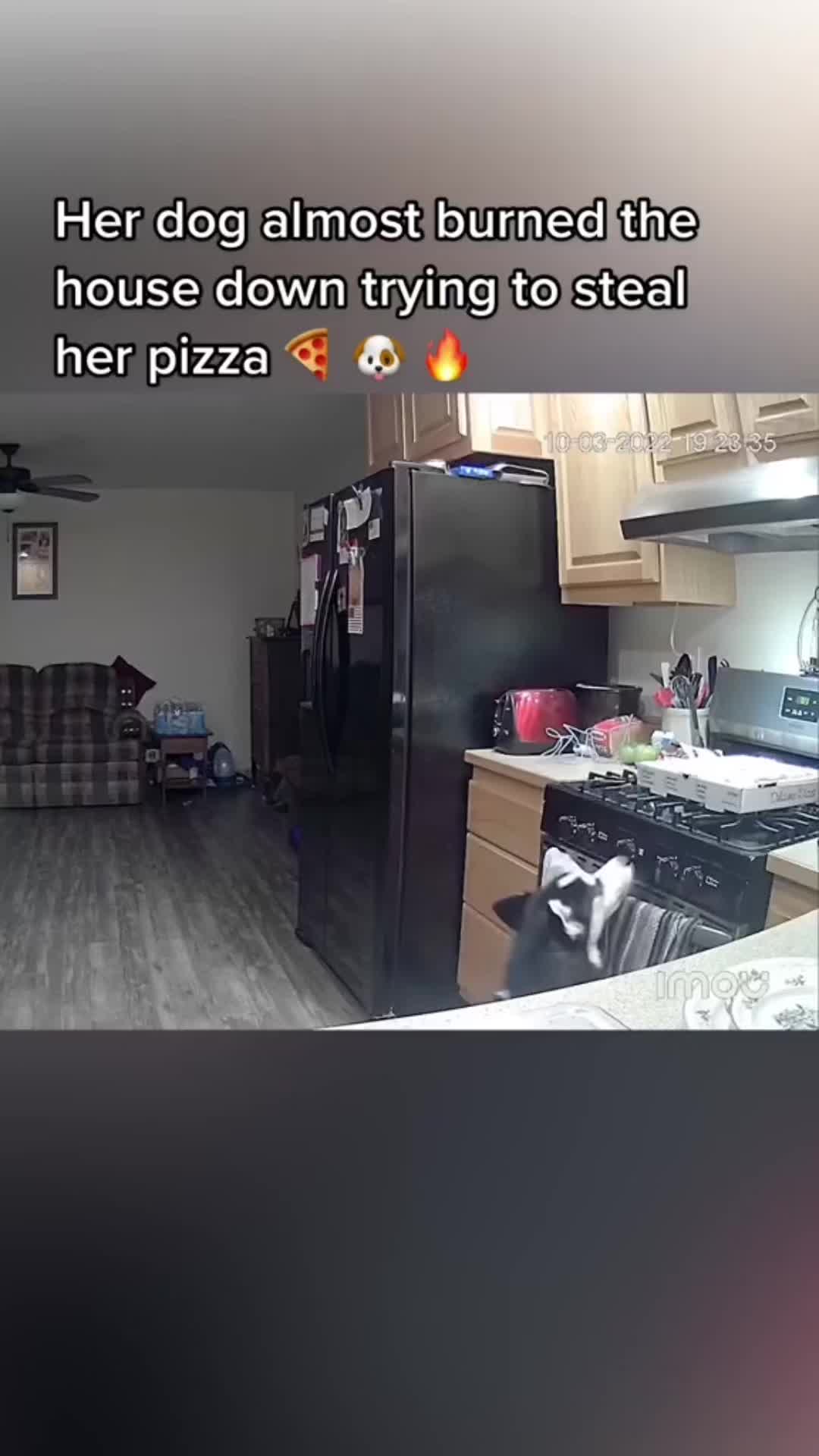 @RingDoorBellVideos